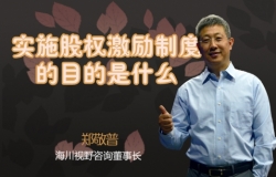 实施股权激励制度的目的是什么